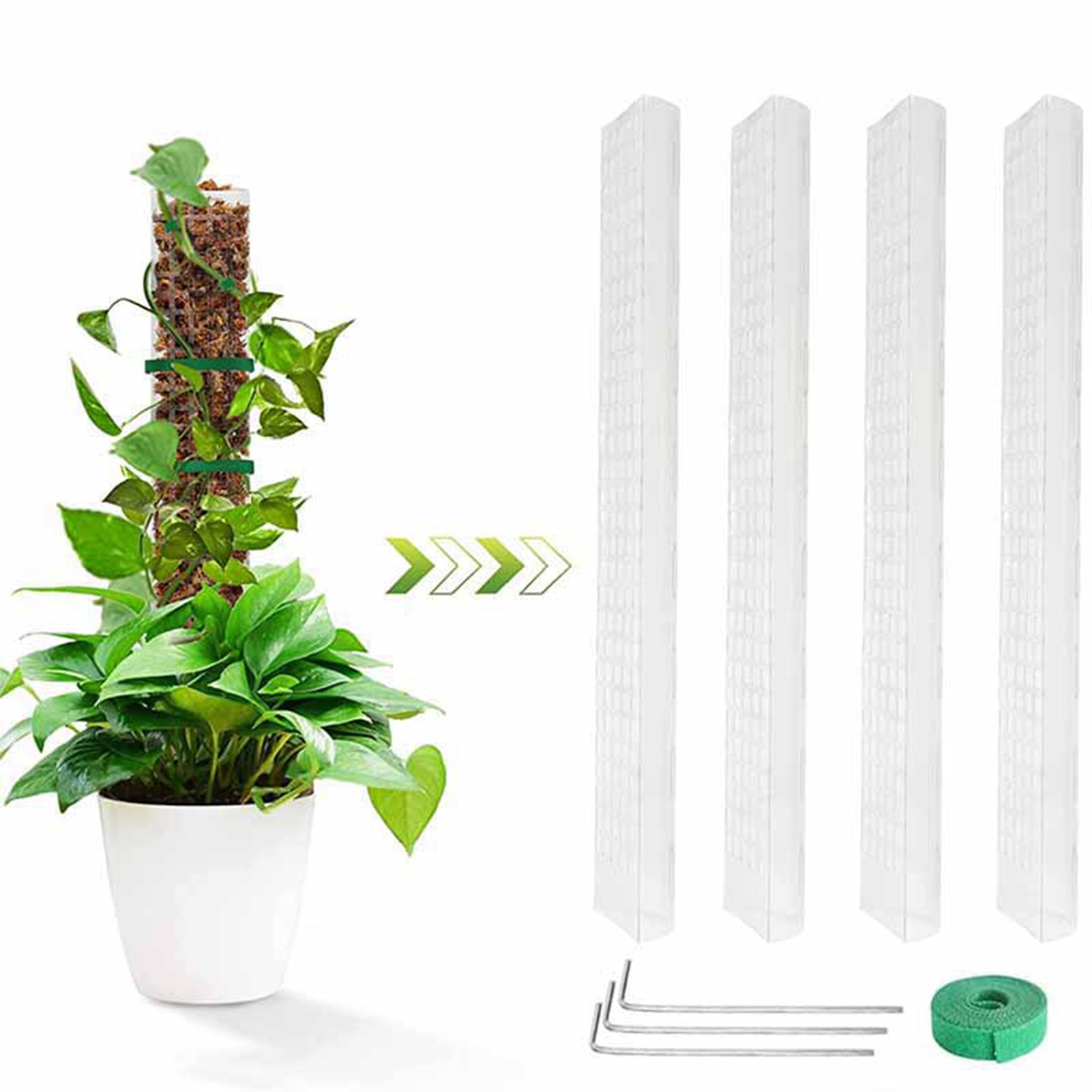 4PCS Climbing Plants Moss Pole - Sphagnum Moss Dry review and price