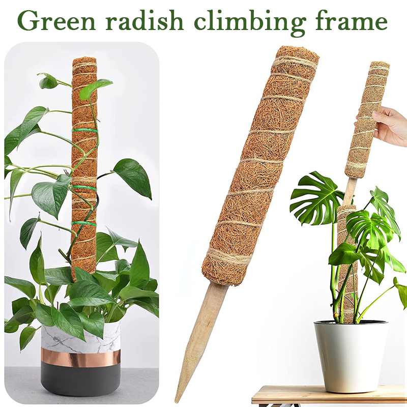 30/40/50cm Plant Climbing Coir - Sphagnum Moss Dry review and price