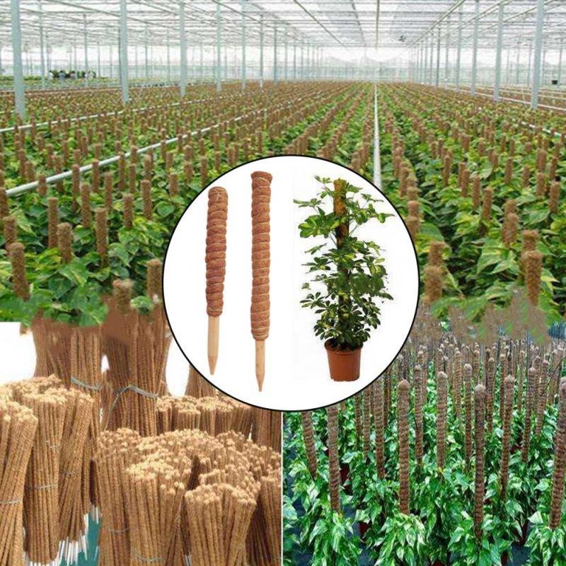 30/40/50cm Plant Climbing Coir - Sphagnum Moss Dry review and price