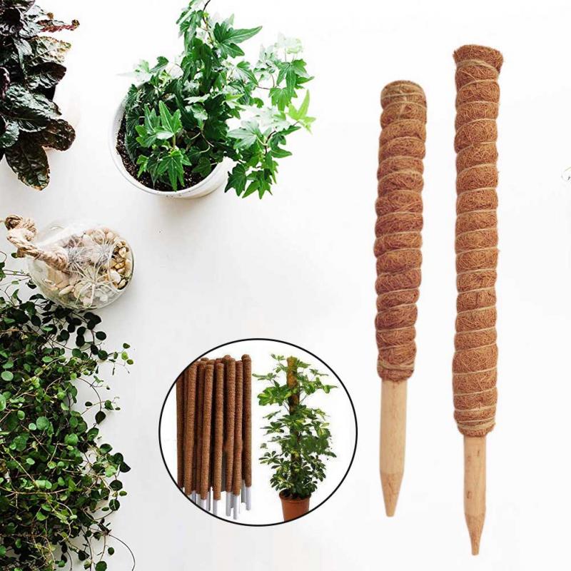 30/40/50cm Plant Climbing Coir - Sphagnum Moss Dry review and price