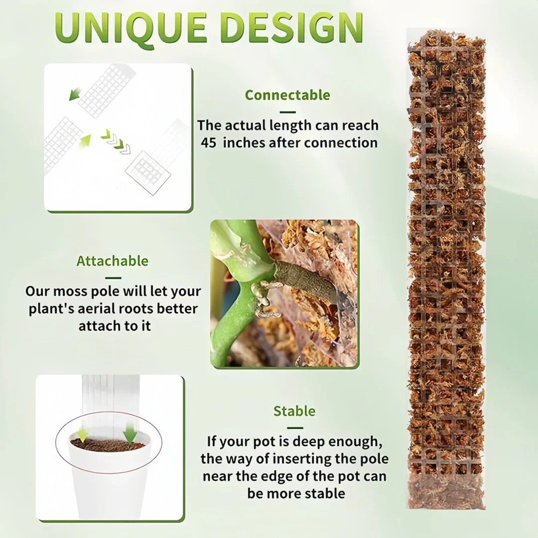 Moss Poles Plants Plastic Tran - Sphagnum Moss Dry review and price