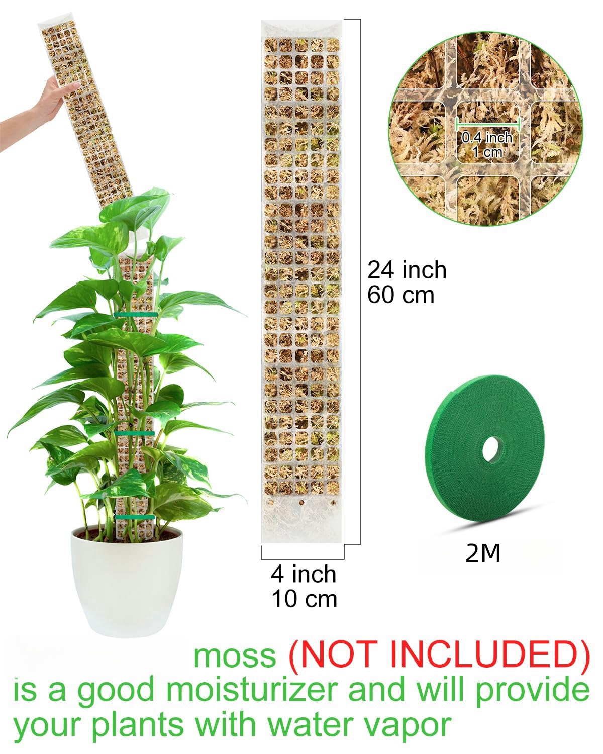 Plants Moss Pole Garden Subjec - Sphagnum Moss Dry review and price